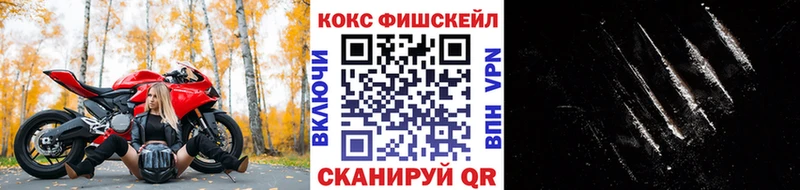 darknet наркотические препараты  Северск  COCAIN FishScale  KRAKEN ССЫЛКА 