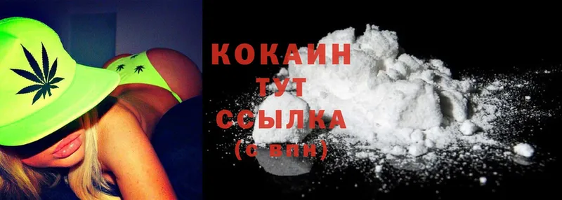 COCAIN Fish Scale  купить наркоту  Северск 
