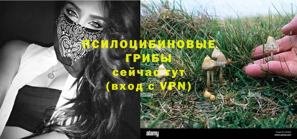 молекула духа Липки