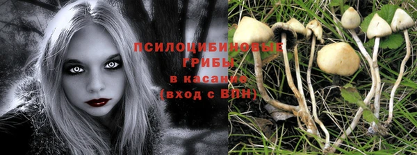 молекула духа Липки
