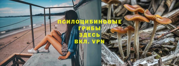 соль ск Няндома