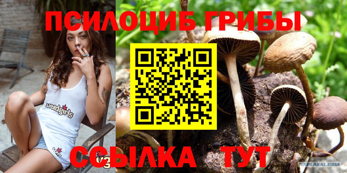 Псилоцибиновые грибы ЛСД Северск