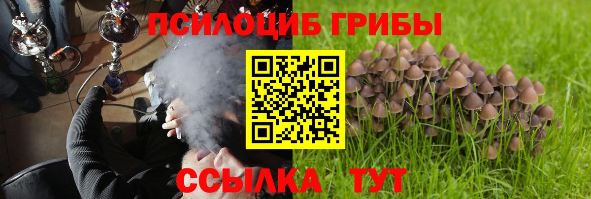 Северск  Галлюциногенные грибы ЛСД  Вход с VPN 