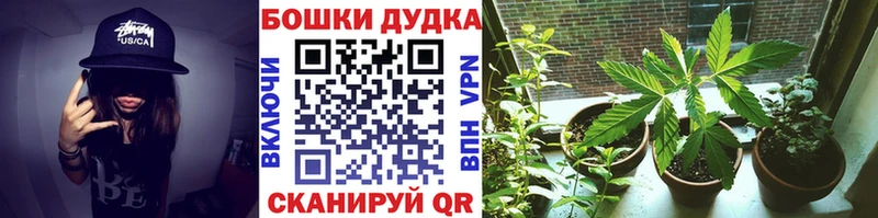 Бошки Шишки сатива гидра зеркало Северск